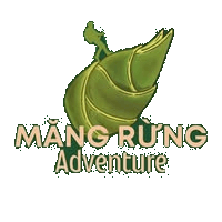 Măng Rừng Adventure