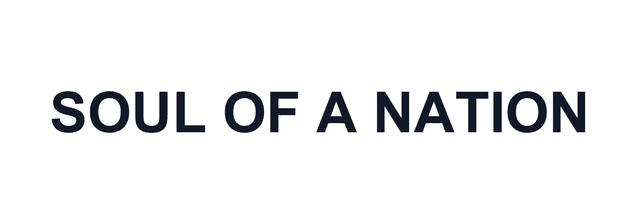 Soul of a Nation