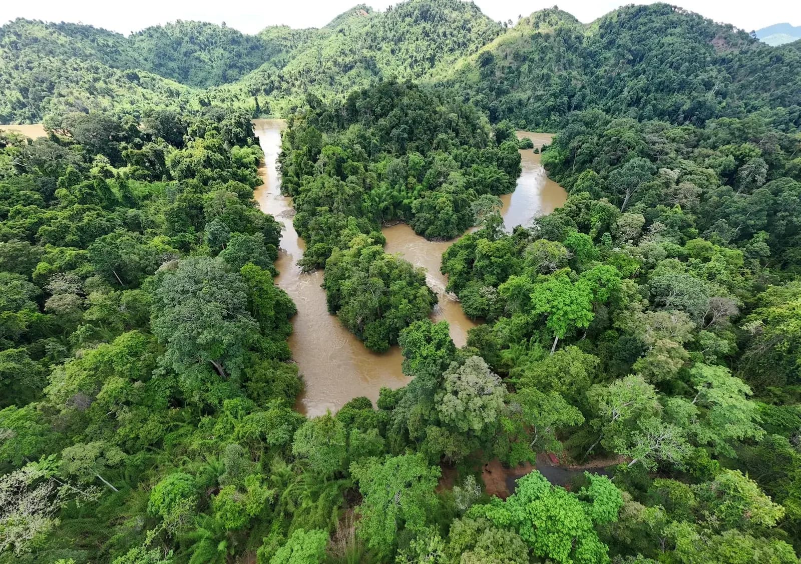 Kể chuyện 2025 - Nhận chuyến đi 2026 | Chia sẻ câu chuyện outdoor của bạn để nhận Trekking & Cycling Nam Cát Tiên miễn phí