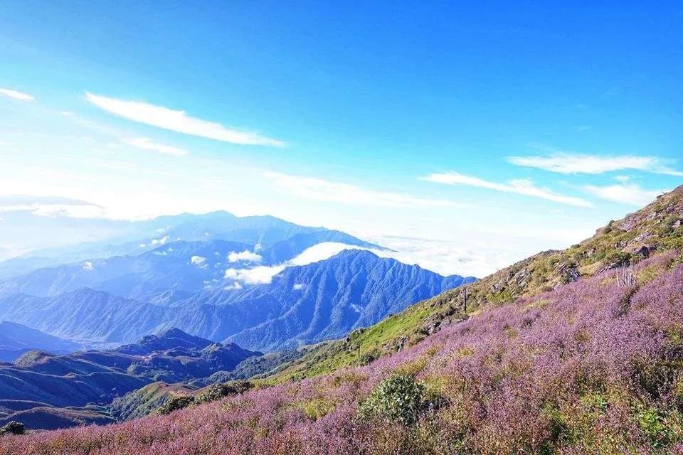 kinh nghiệm trekking Tà Chì Nhù_Ta Chi Nhu trekking guide