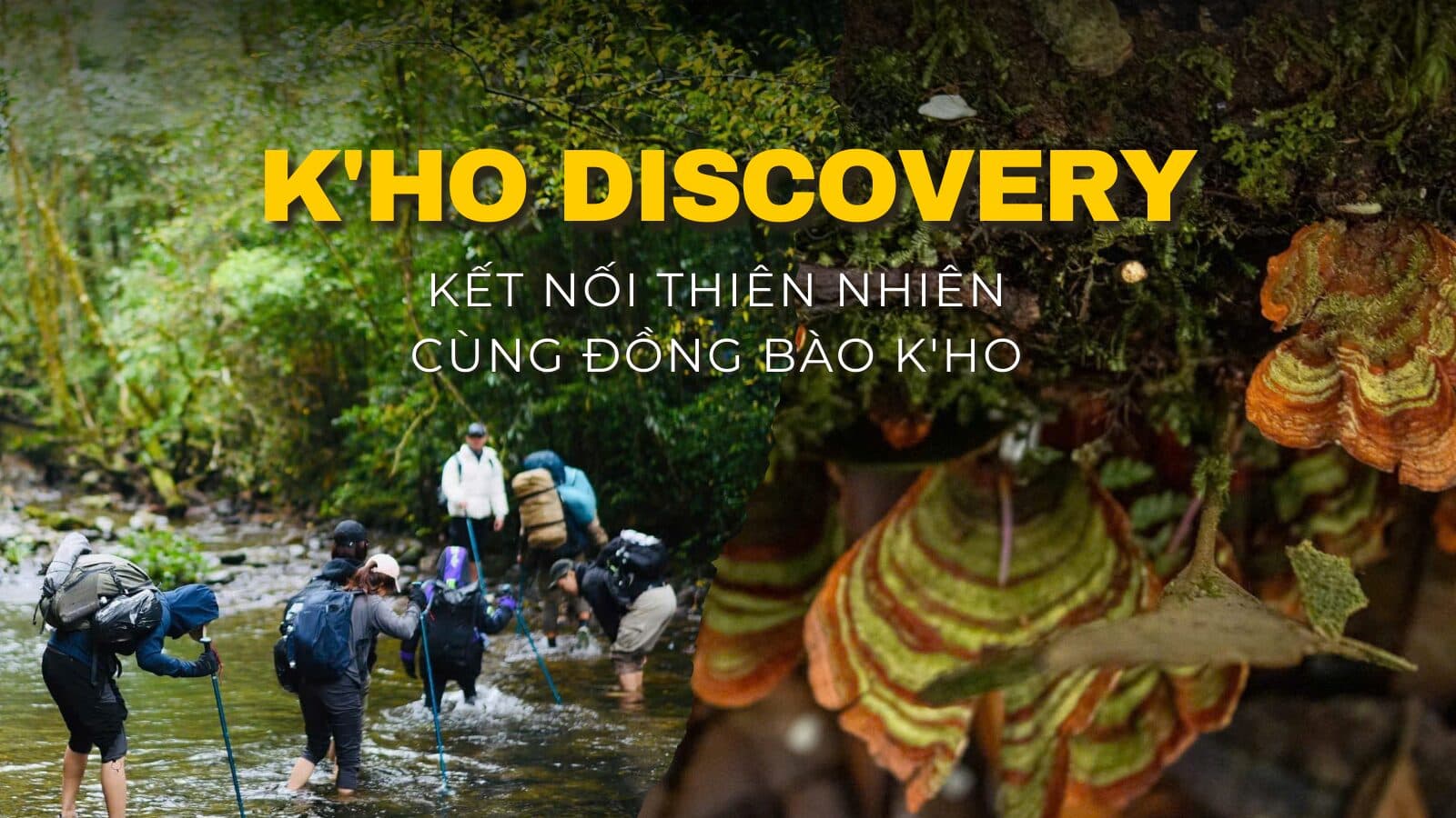 K'HO Discovery: Hành Trình Khám Phá Thiên Nhiên cùng đồng bào K’HO