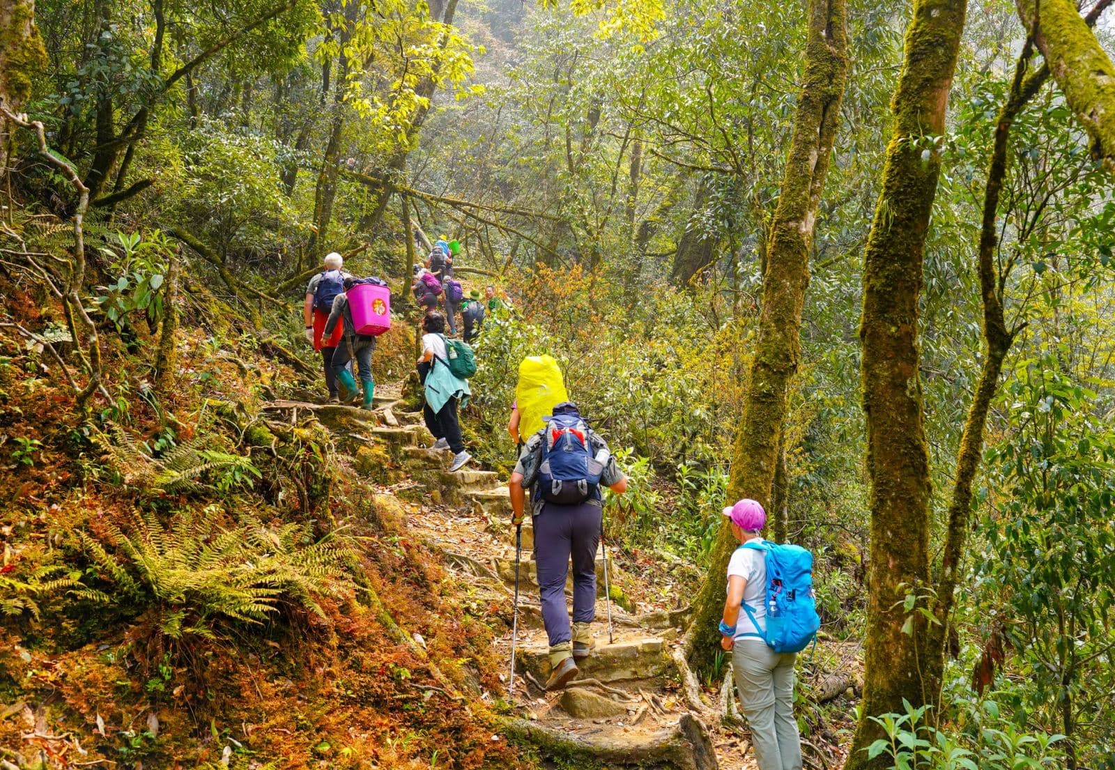 What Your Hiking Style Says About You: 4 Types & The Best Vietnam Trails