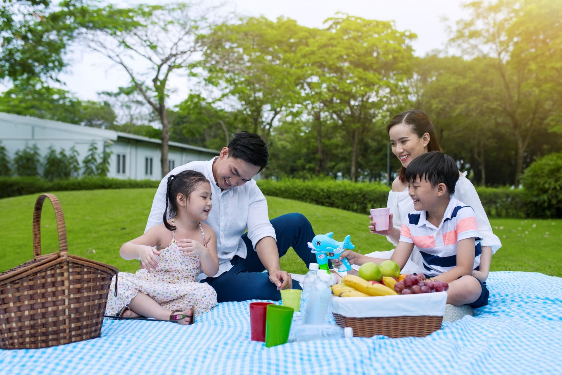 Blankets, Baskets & Breathing Room: Rediscovering the Joy of Picnic Culture