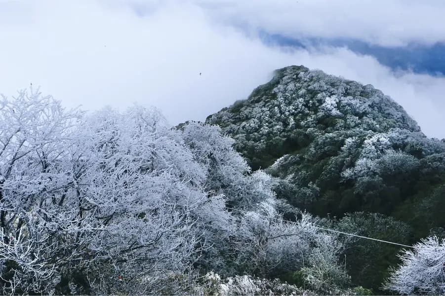 Phia Oắc National Park: A Moss-Covered Wonderland of Ice and Mist in Cao Bằng, Vietnam