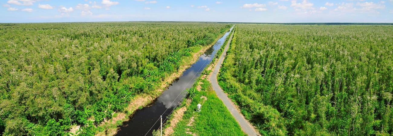 Vườn Quốc gia U Minh Hạ – Hơi thở rừng sâu và đường đi của mật ngọt