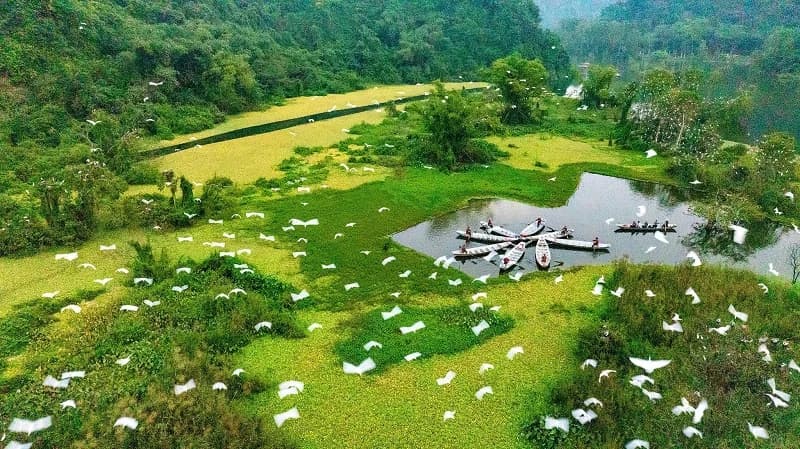 Sustainable & Scenic: The Limestone Greenhouses Driving Ninh Binh Tourism