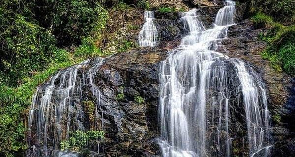 Vườn Quốc gia Tam Đảo: Cẩm nang trekking, tham quan & các cung đường nổi bật