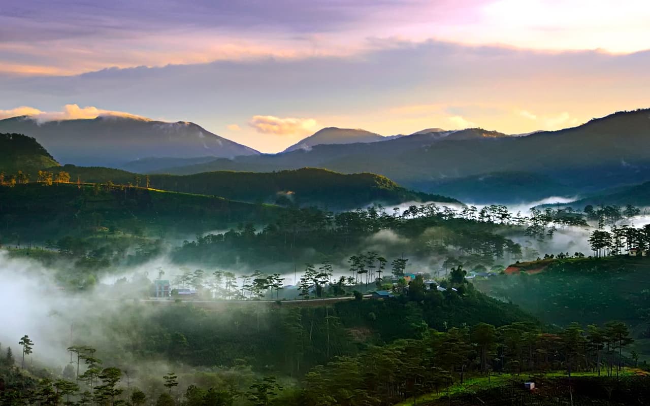 Cẩm nang khám phá Vườn Quốc gia Bidoup – Núi Bà trên cao nguyên Lâm Viên, Lâm Đồng