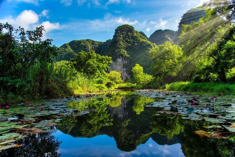 Ninh Binh Foot Rowing: Discovering the Ancient Mechanical Soul of the Wetlands