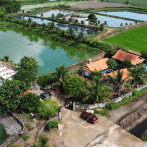 Phú Điền Homestay