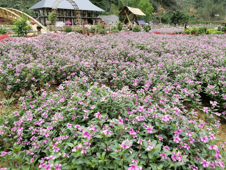 Khu sinh thái Bản Thẳm