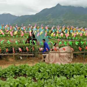 Nông trại Tân Châu
