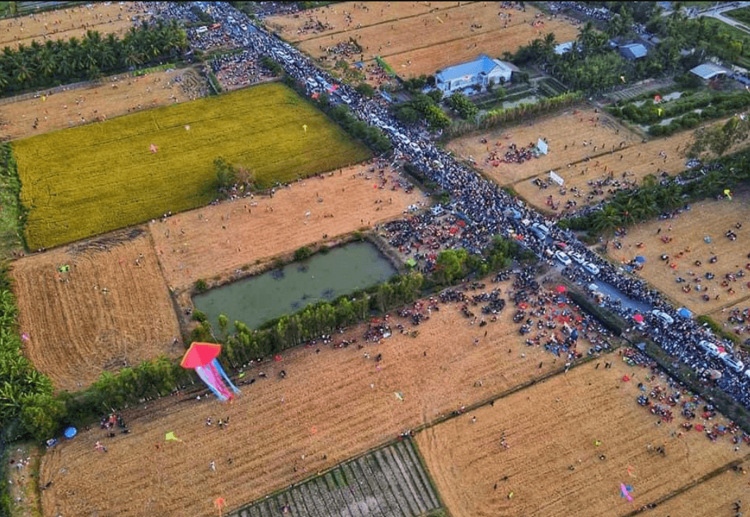 Cánh Đồng Diều Trà Vinh