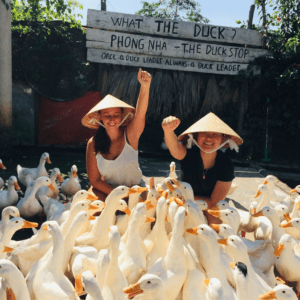 The Duck Stop