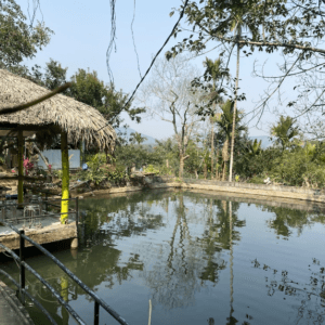 Du Lịch Sinh Thái Hồng Điều