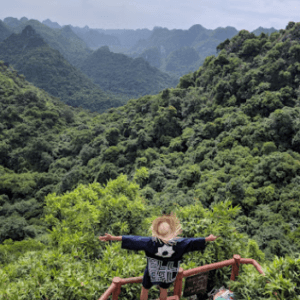 Đỉnh Ngự Lâm