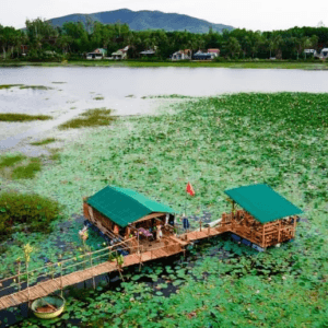 Chòi sen Năm Xong