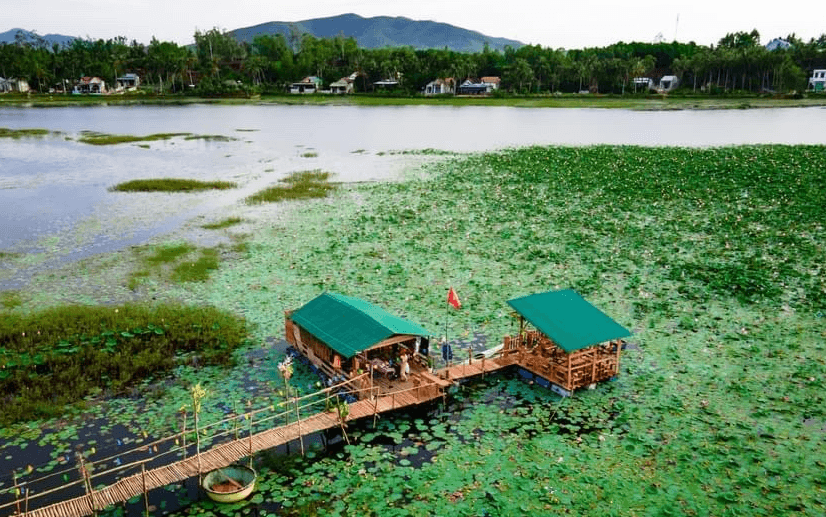 Chòi sen Năm Xong