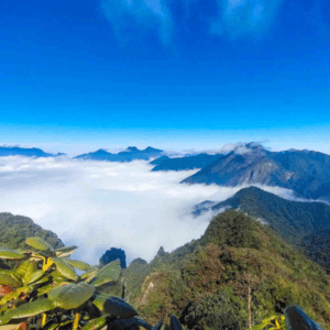 Trekking Đỉnh Tả Liên Sơn