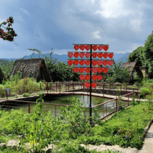 Homestay Hoa Sở - Bình Liêu - Quảng Ninh