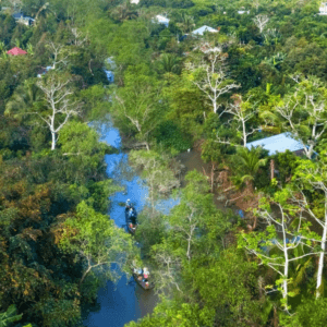 Cù lao Tân Phong