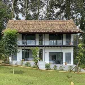 Avocado Yoga Retreat & Garden