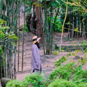 Sơn Trà Tịnh Viên