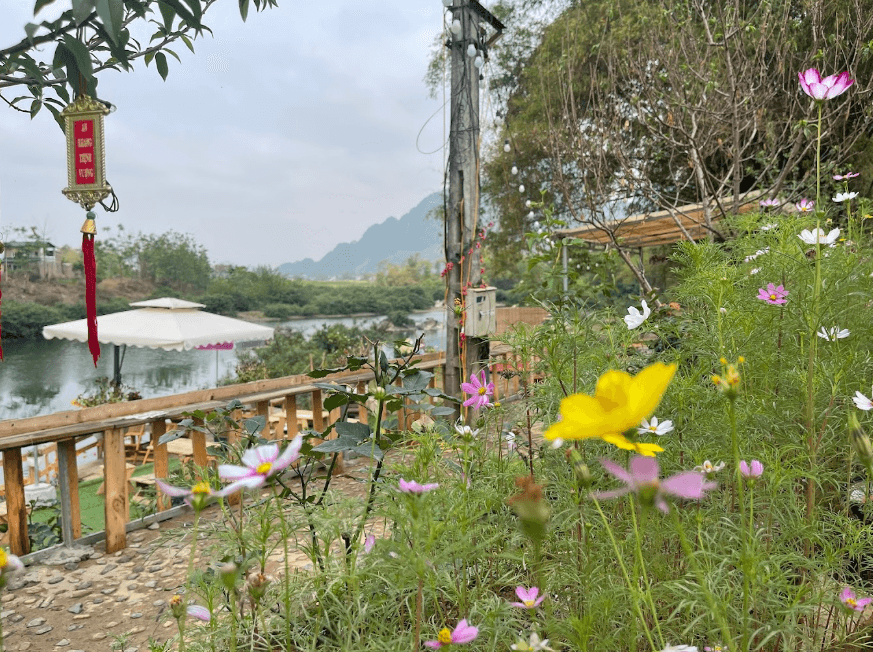 Bến Hoa Coffee Camping - Kim Bôi - Hòa Bình