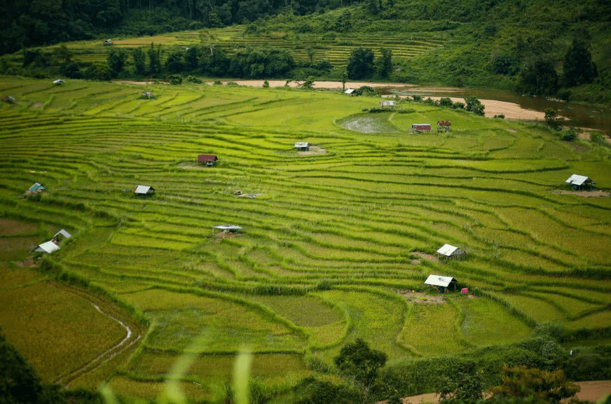 Ruộng bậc thang Kon Rẫy - Kon Tum