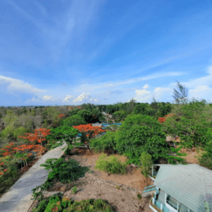 Vườn chim Bạc Liêu