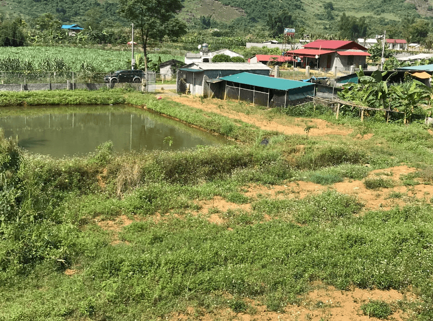 Trang trại Xanh - Lai Châu