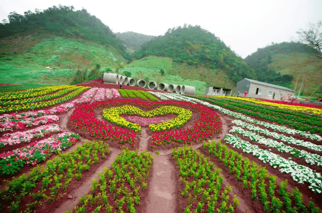 Mộc Châu Happy Land - Mộc Châu - Sơn La