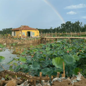 Khu Sinh Thái Bầu Sen Thượng - Ngoại Tôi