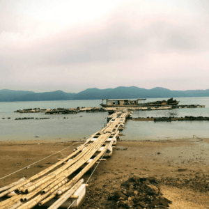 Đống Chén Island Stay - Vân Đồn - Quảng Ninh