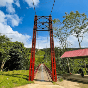 Suối Cá Lầu Thí Ngài