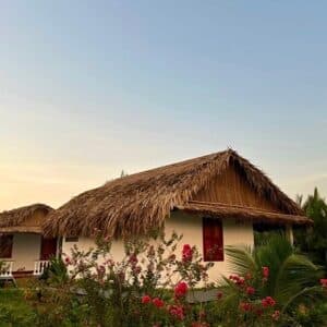 Coconut Farmstay Ben Luc