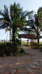 Cà Phê Đỗ Phủ - Cần Giờ