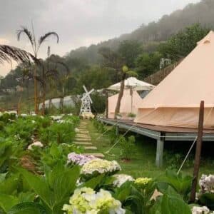 Đồi Mơ Homestay and Camping