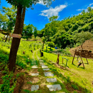 Khu Sinh Thái Thung Lũng Hoa Trên Đá