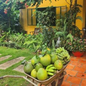 Sue's Homestay Farmstay