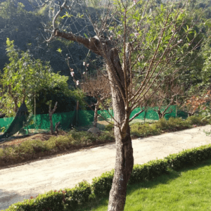 Trại Suối - Hoà Bình - Hòa Bình