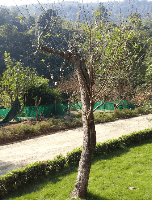 Trại Suối - Hoà Bình - Hòa Bình
