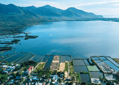 Đầm Thủy Triều