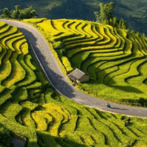 Ruộng Bậc Thang Y Tý - Bát Xát - Lào Cai