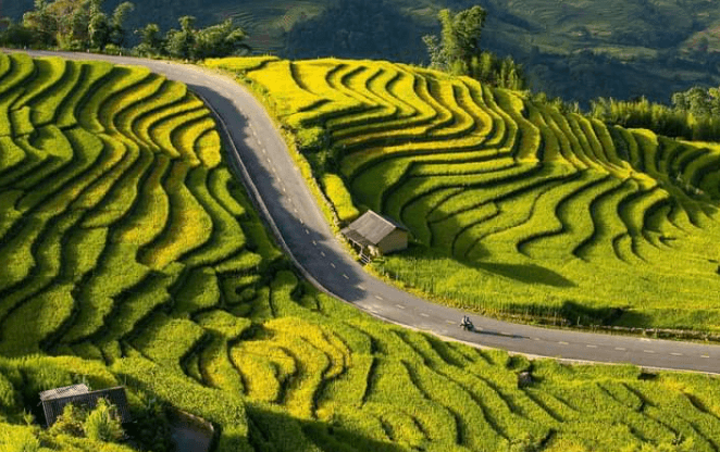 Ruộng Bậc Thang Y Tý - Bát Xát - Lào Cai