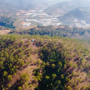 Cắm Trại Đồi Thông Xã Lát