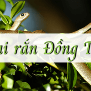Trại Rắn Đồng Tâm - Châu Thành - Tiền Giang