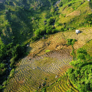 Ruộng bậc thang Kon Pin