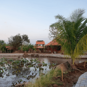 Nhà Cây Tre - Ninh Sơn - Ninh Thuận
