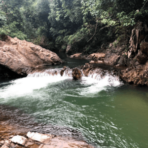 Khu Sinh Thái Suối Vàng